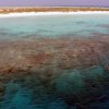 Rotes Meer-Korallen Inseln (8)